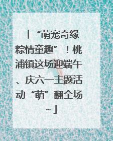 “萌宠奇缘 粽情童趣”！桃浦镇这场迎端午、庆六一主题活动“萌”翻全场～