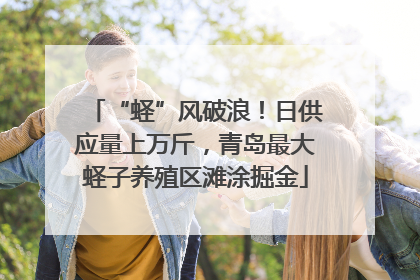 “蛏”风破浪！日供应量上万斤，青岛最大蛏子养殖区滩涂掘金