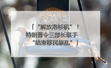 “解放洛杉矶”！特朗普令三部长联手“结束移民暴乱”