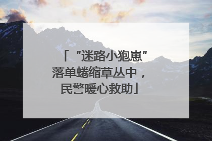 “迷路小狍崽”落单蜷缩草丛中，民警暖心救助