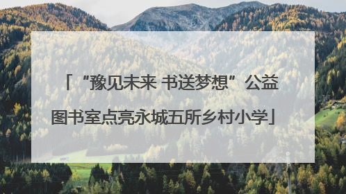 “豫见未来 书送梦想”公益图书室点亮永城五所乡村小学