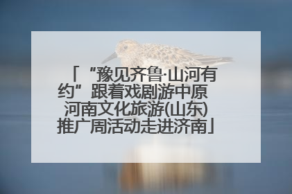 “豫见齐鲁·山河有约”跟着戏剧游中原 河南文化旅游(山东)推广周活动走进济南