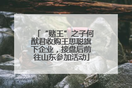 “赌王”之子何猷君收购王思聪旗下企业，接盘后前往山东参加活动