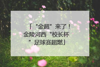 “金超”来了！金陵河西“校长杯”足球赛超燃