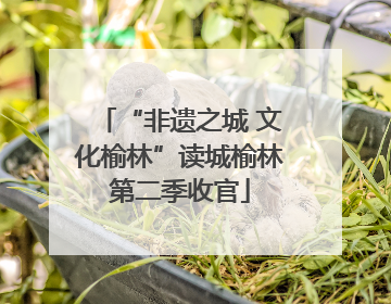 “非遗之城 文化榆林”读城榆林第二季收官
