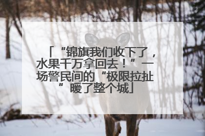 “锦旗我们收下了，水果千万拿回去！”一场警民间的“极限拉扯”暖了整个城