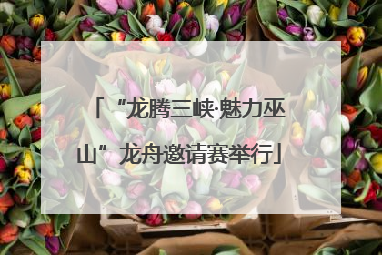 “龙腾三峡·魅力巫山”龙舟邀请赛举行
