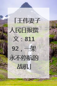 王伟妻子人民日报撰文：81192，一架永不停航的战机