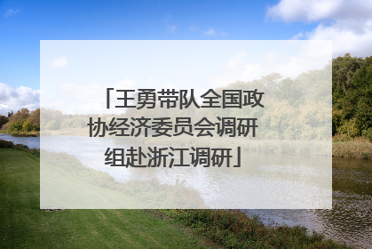 王勇带队全国政协经济委员会调研组赴浙江调研