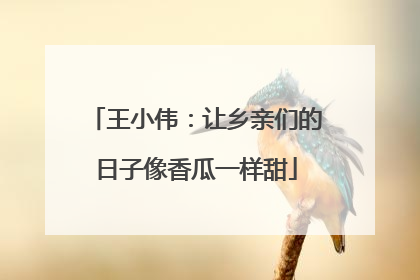 王小伟：让乡亲们的日子像香瓜一样甜