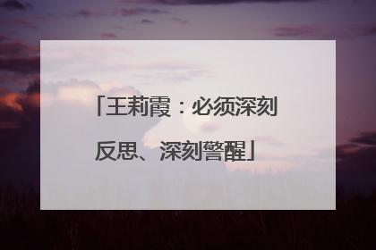 王莉霞：必须深刻反思、深刻警醒