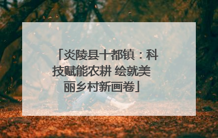 炎陵县十都镇：科技赋能农耕 绘就美丽乡村新画卷
