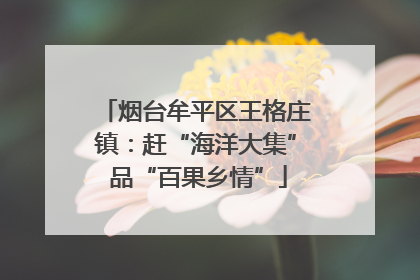 烟台牟平区王格庄镇：赶“海洋大集” 品“百果乡情”