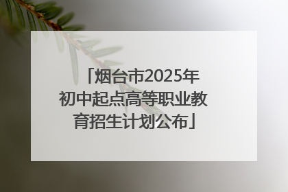 烟台市2025年初中起点高等职业教育招生计划公布