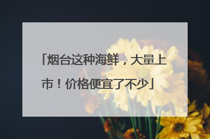 烟台这种海鲜，大量上市！价格便宜了不少