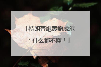 特朗普炮轰鲍威尔：什么都不懂！