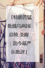 特朗普猛批俄乌两国总统 美媒：迄今最严厉批评