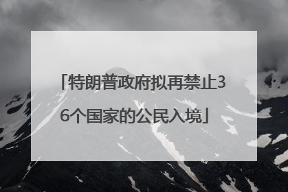 特朗普政府拟再禁止36个国家的公民入境