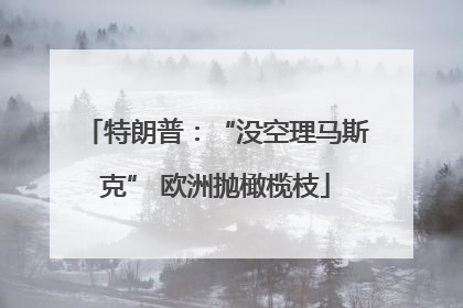 特朗普：“没空理马斯克” 欧洲抛橄榄枝