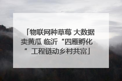 物联网种草莓 大数据卖黄瓜 临沂“四雁孵化”工程链动乡村共富