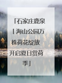石家庄鹿泉丨海山公园万株荷花绽放 开启夏日赏荷季