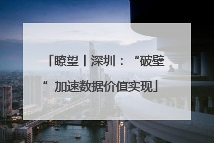 瞭望丨深圳：“破壁”加速数据价值实现