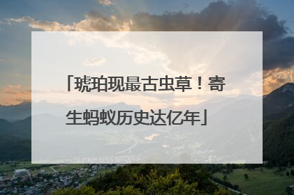 琥珀现最古虫草！寄生蚂蚁历史达亿年