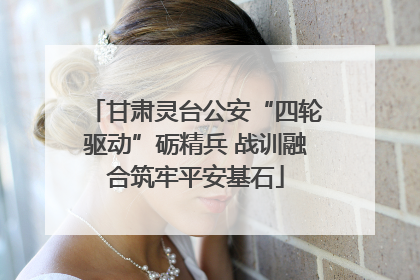 甘肃灵台公安“四轮驱动”砺精兵 战训融合筑牢平安基石