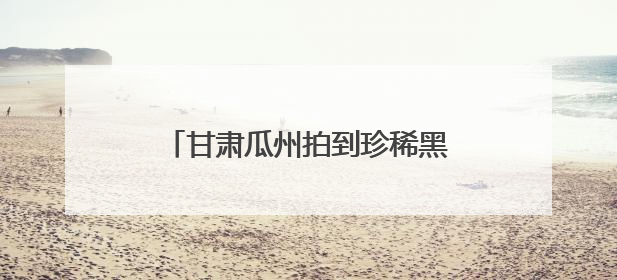 甘肃瓜州拍到珍稀黑颈鹤的“安家照”