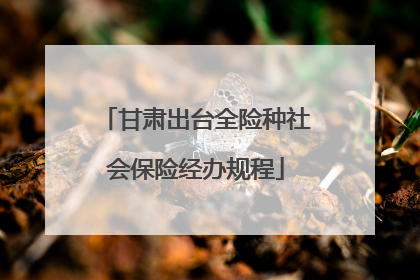 甘肃出台全险种社会保险经办规程