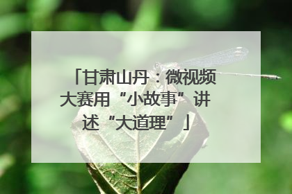 甘肃山丹：微视频大赛用“小故事”讲述“大道理”