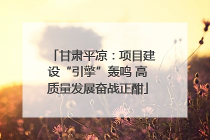 甘肃平凉：项目建设“引擎”轰鸣 高质量发展奋战正酣