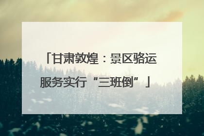 甘肃敦煌：景区骆运服务实行“三班倒”
