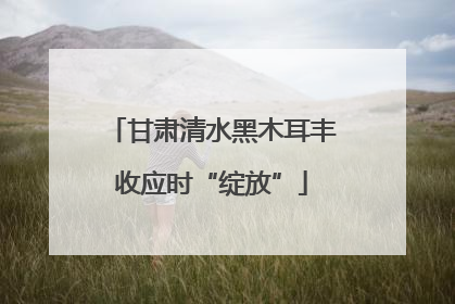 甘肃清水黑木耳丰收应时“绽放”