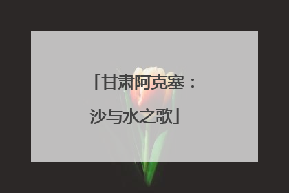 甘肃阿克塞：沙与水之歌