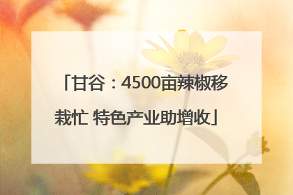 甘谷：4500亩辣椒移栽忙 特色产业助增收