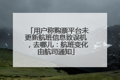 用户称购票平台未更新航班信息致误机，去哪儿：航班变化由航司通知