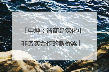 申坤：浙商是深化中非务实合作的新桥梁