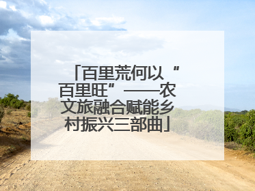 百里荒何以“百里旺”——农文旅融合赋能乡村振兴三部曲