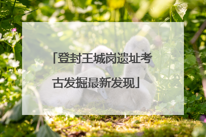 登封王城岗遗址考古发掘最新发现