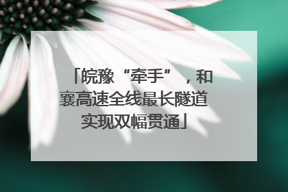 皖豫“牵手”，和襄高速全线最长隧道实现双幅贯通