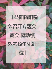 益阳资阳税务召开专题会商会 驱动绩效考核争先进位