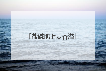 盐碱地上麦香溢