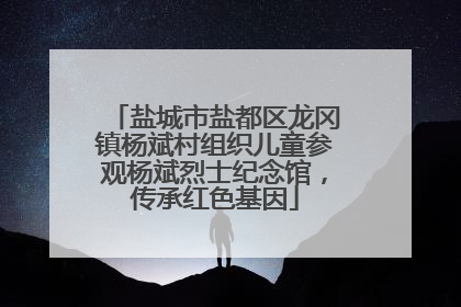 盐城市盐都区龙冈镇杨斌村组织儿童参观杨斌烈士纪念馆，传承红色基因