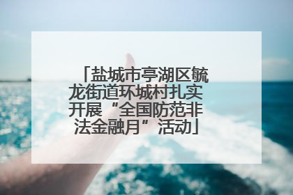 盐城市亭湖区毓龙街道环城村扎实开展“全国防范非法金融月”活动