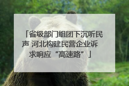省级部门组团下沉听民声 河北构建民营企业诉求响应“高速路”