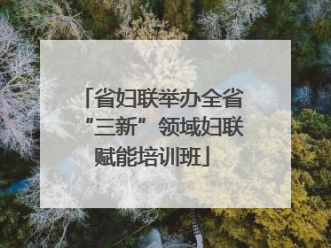 省妇联举办全省“三新”领域妇联赋能培训班