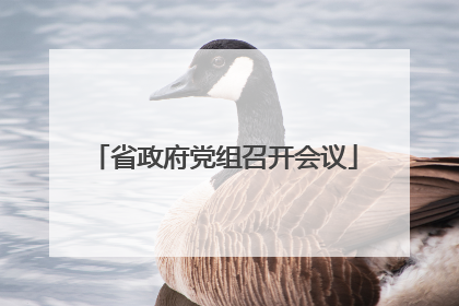 省政府党组召开会议