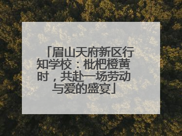 眉山天府新区行知学校：枇杷橙黄时，共赴一场劳动与爱的盛宴