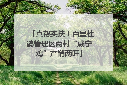 真帮实扶！百里杜鹃管理区两村“威宁鸡”产销两旺